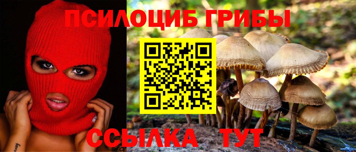 как найти закладки  Галлюциногенные грибы Cubensis  Вход с VPN  Кировск 