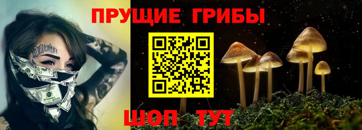 Псилоцибиновые грибы Cubensis Кировск
